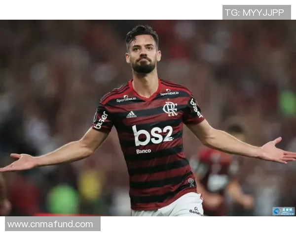 足球星卡新手入门全攻略从收藏选择到投资价值全面解析